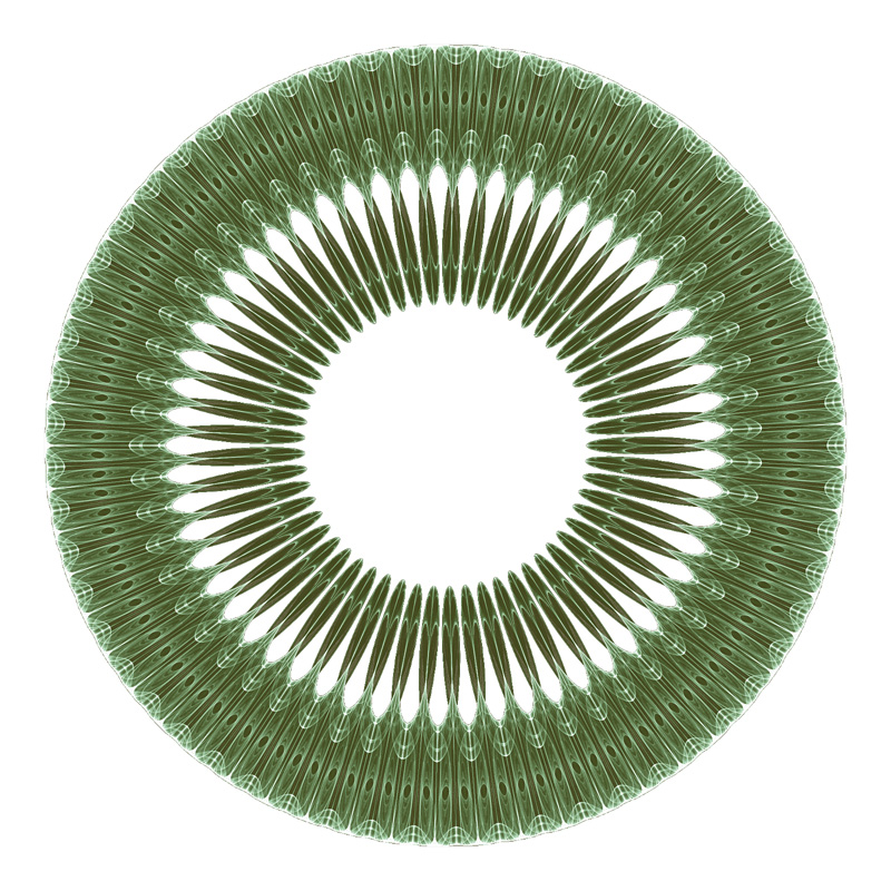 Sunflower symmetric icon