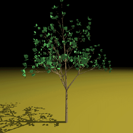 rendering trees in plan. tree or plant generation.