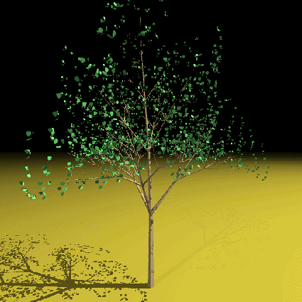 rendering trees in plan. not all rendering packages