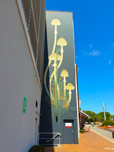 Western Australia street art