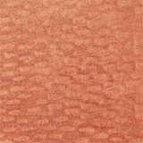 texture: windswept_copper