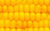 texture: corn