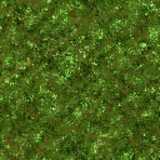 texture: roughgrass1