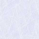 texture: hockey_ice