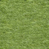 texture: lawn3