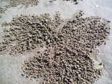 texture: sand24