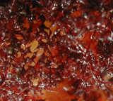 texture: seaweed1