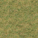 texture: drygrass