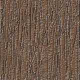 texture: wood01