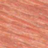 texture: muscle2