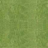 texture: lawn2