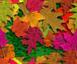 texture: autumn_leavesbyadf