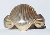 texture: shell2