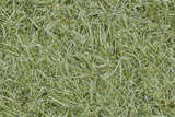 texture: drygrass1
